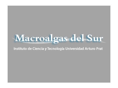 Macro Algas del Sur - WDesign - Diseño Web Profesional