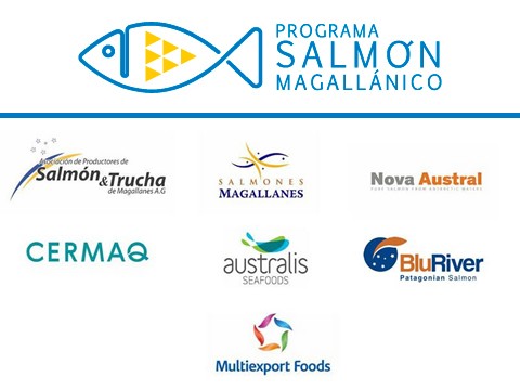 PROGRAMA SALM&Oacute;N MAGALL&Aacute;NICO - WDesign - Diseño Web Profesional