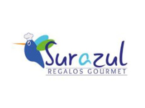 Regalo Sur Azul - WDesign - Diseño Web Profesional