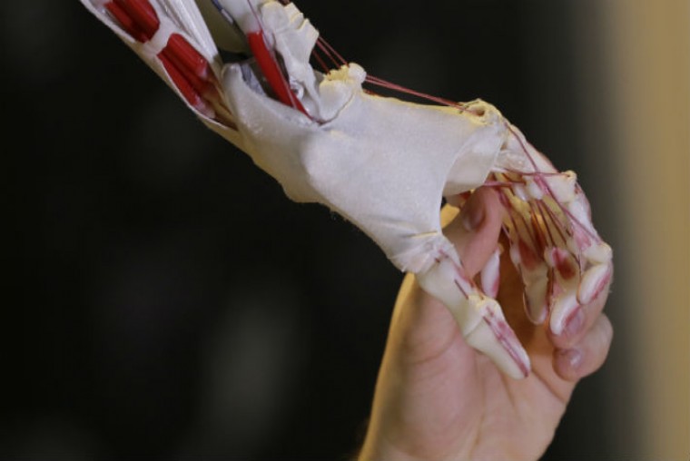DESDE EL ORIGAMI A LAS M&Aacute;QUINAS: CIENT&Iacute;FICOS CREAN "M&Uacute;SCULOS" ARTIFICIALES QUE LE DAN "SUPERPODERES" A LOS ROBOTS - WDesign - Diseño Web Profesional