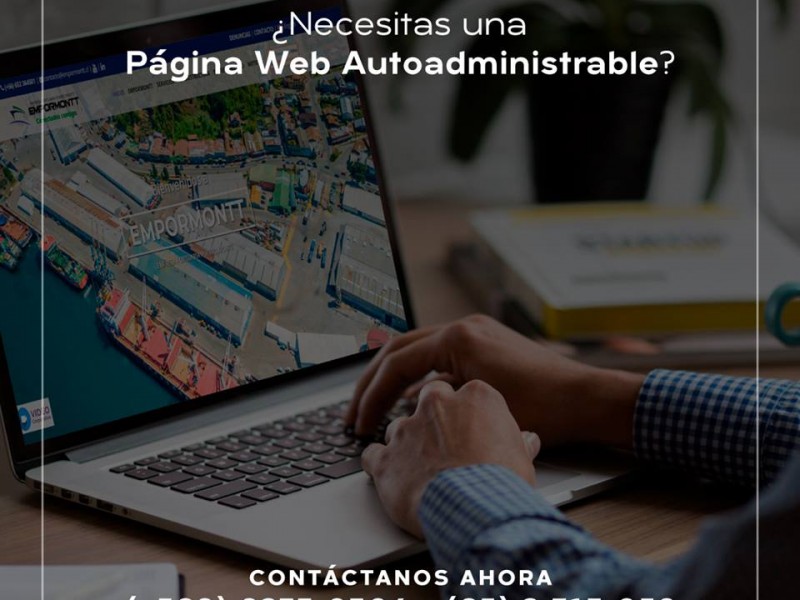 Empresa que hacen paginas web en Puerto Montt - WDesign - Diseño Web Profesional