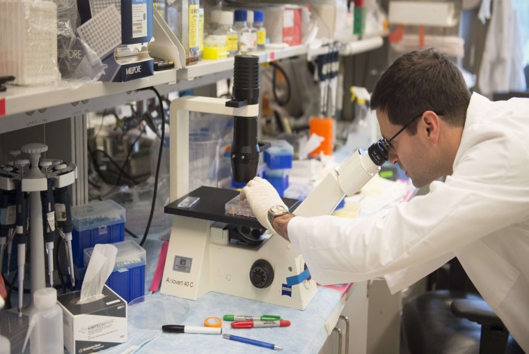 Nanorobots programables abren una nueva forma de luchar contra el c&aacute;ncer - WDesign - Diseño Web Profesional