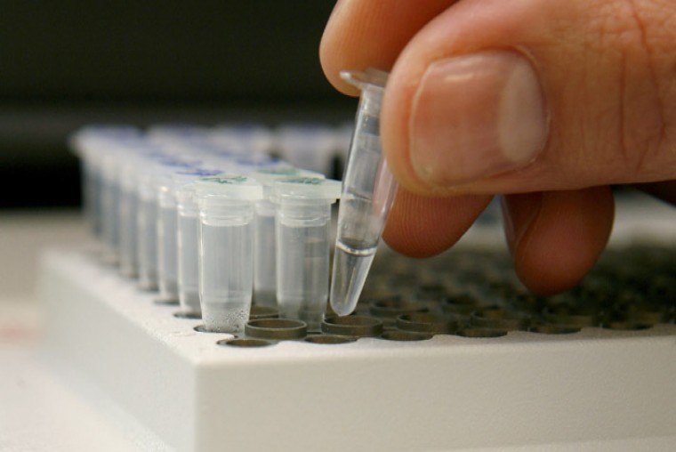 UN NUEVO PROCESO BIOL&Oacute;GICO PODR&Iacute;A SER LA CLAVE PARA MEJORAR LA RESPUESTA INMUNOL&Oacute;GICA CONTRA EL C&Aacute;NCER - WDesign - Diseño Web Profesional