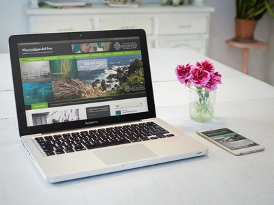 Macroalgas del Sur - WDesign - Diseño Web Profesional