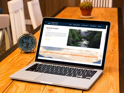 Pristine Salmon - WDesign - Diseño Web Profesional
