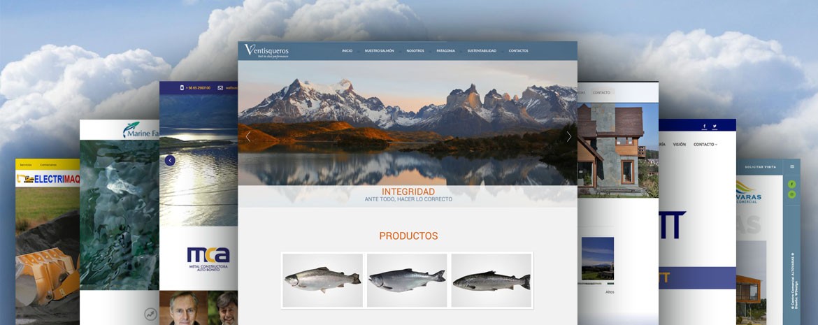 Agencia Profesional: Diseño Web Profesional